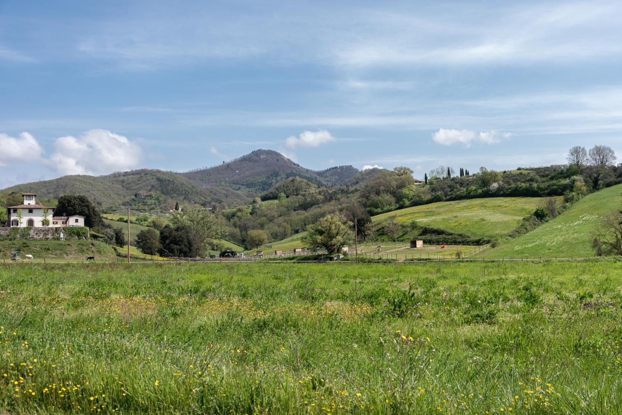 Agriturismo Il Ponte - Frantoio 维基奥 外观 照片