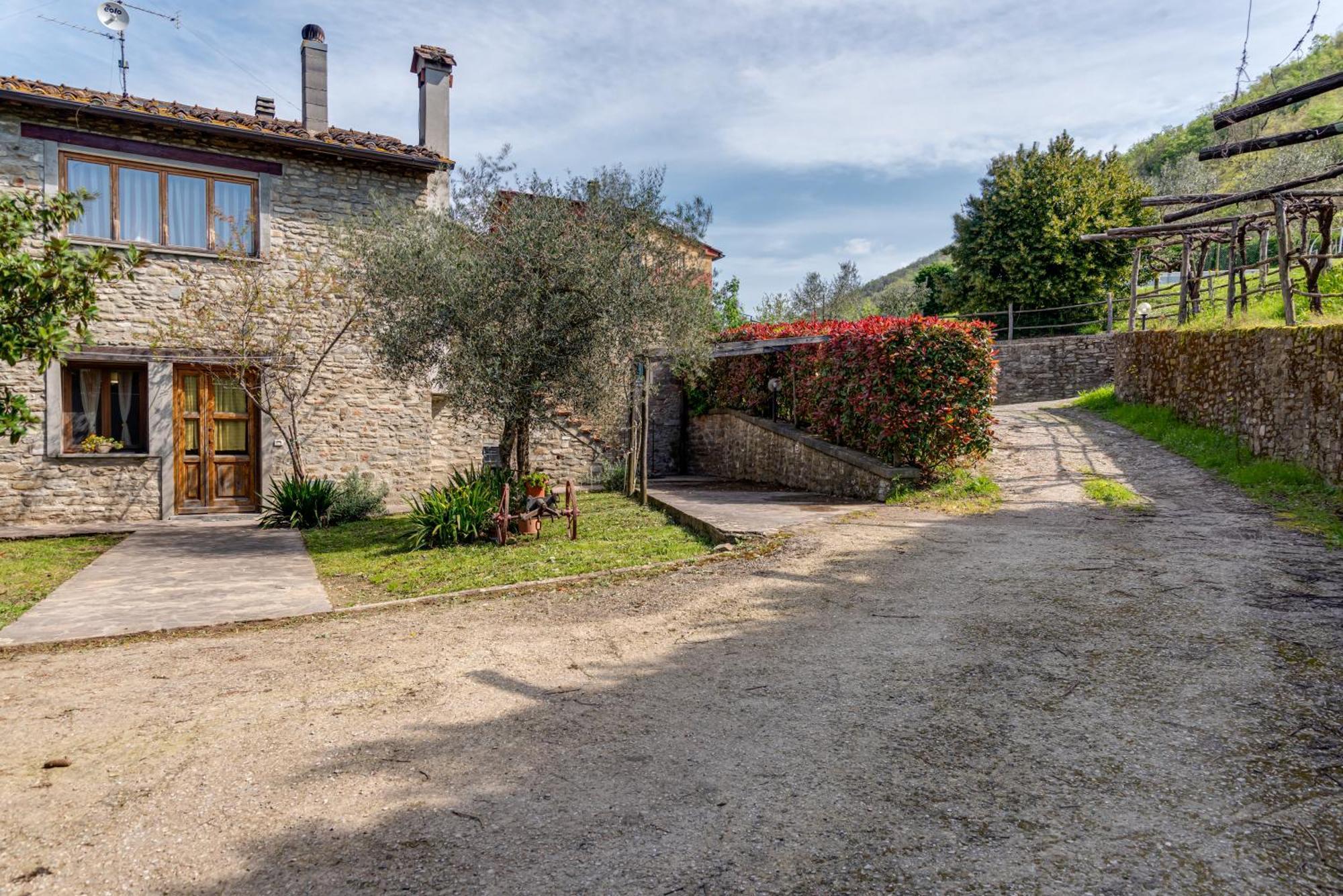 Agriturismo Il Ponte - Frantoio 维基奥 外观 照片